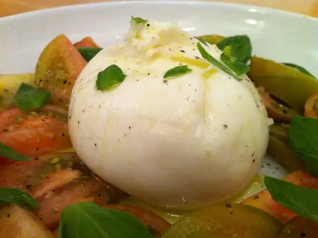 Burrata amb tomàquet de penjar, plato de La Vinya